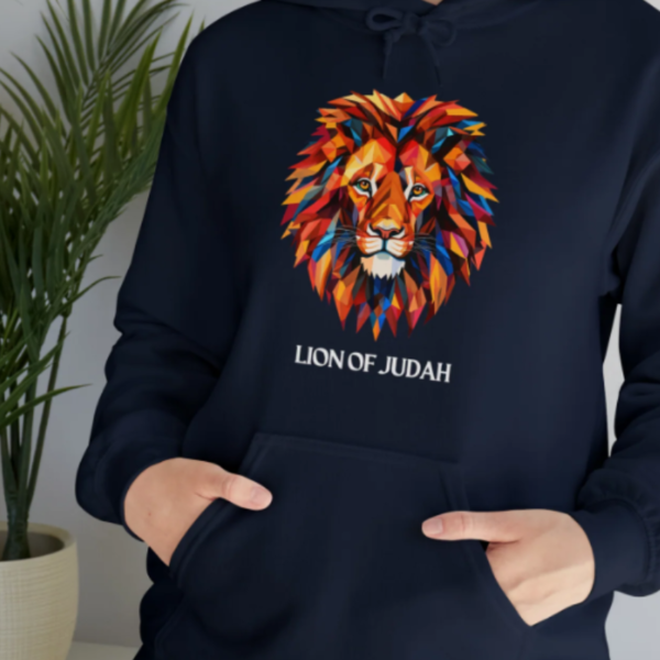 lion of judah hoodie from joyful grace