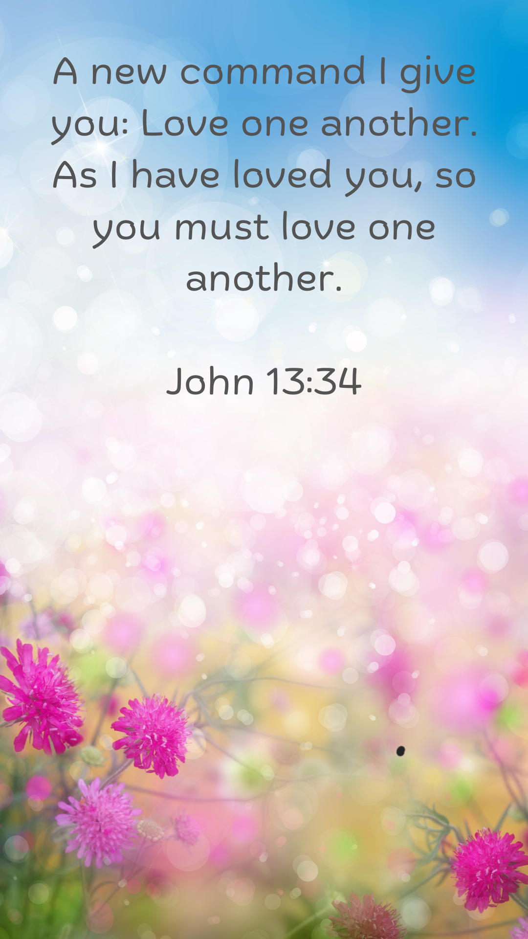 A new command I give you: Love one another. As I have loved you, so you must love one another.